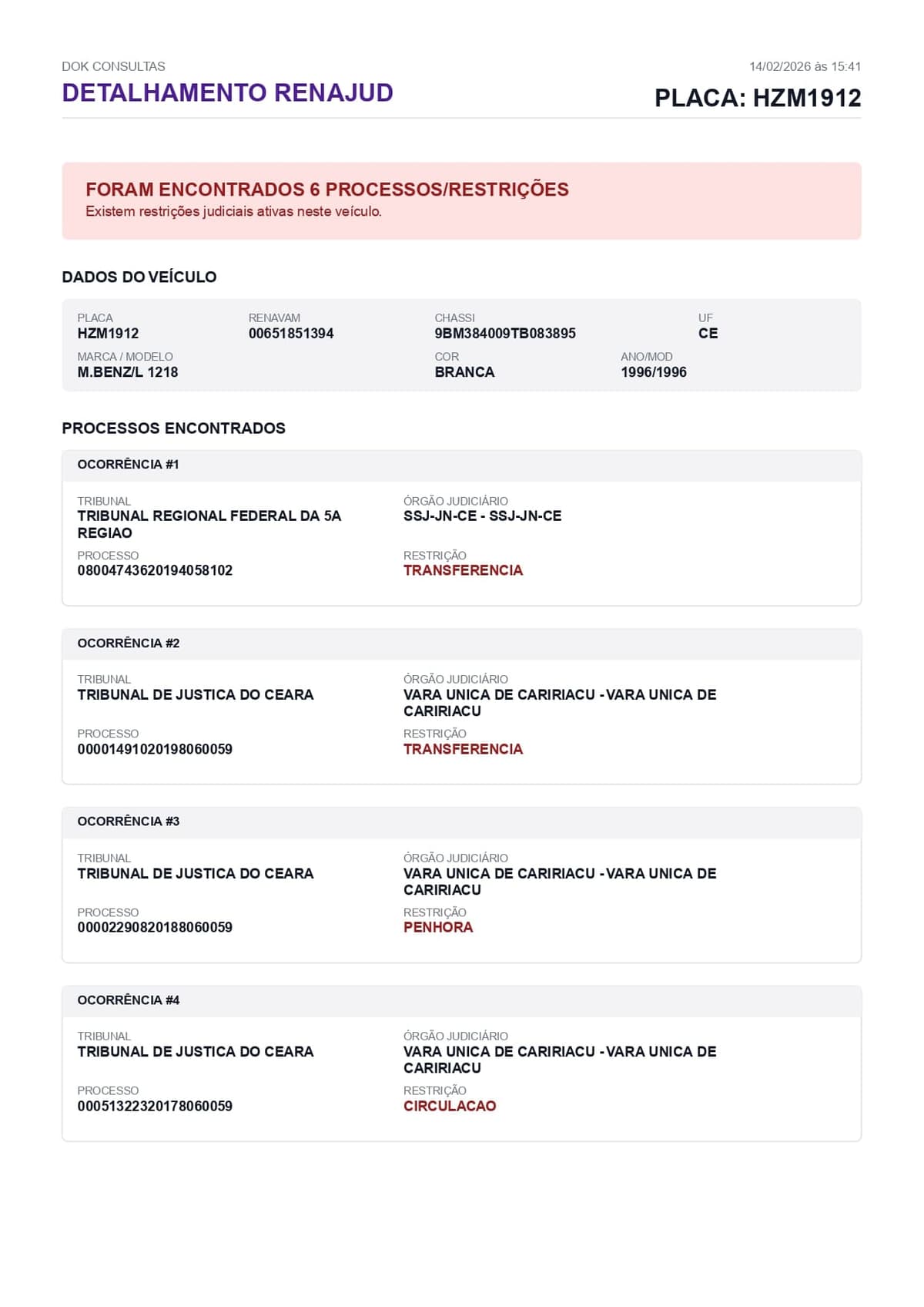 Exemplo de Detalhamento Renajud Dok Consultas